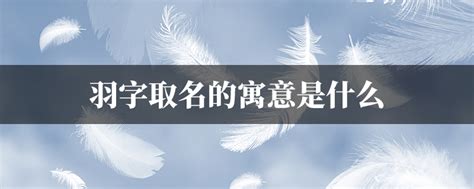 羽的意思名字|羽字取名寓意